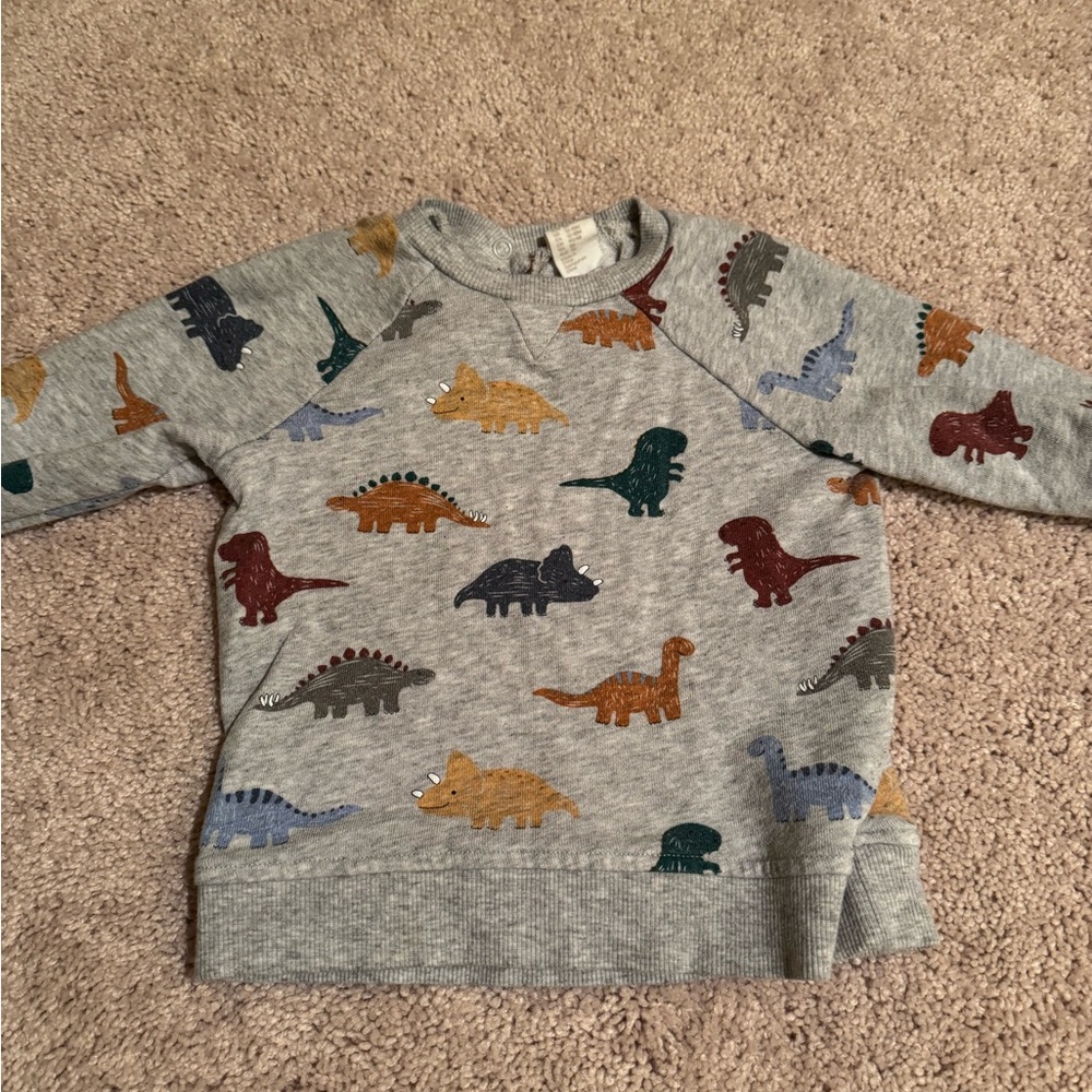 H&M Gray Dinosaur Print Sweatshirt